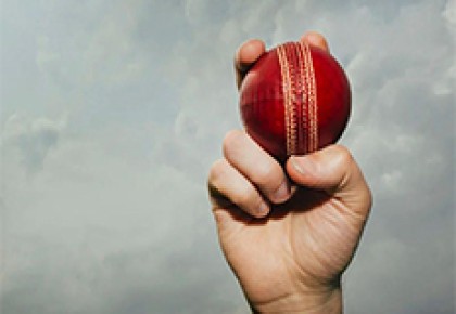 Cricket Ball